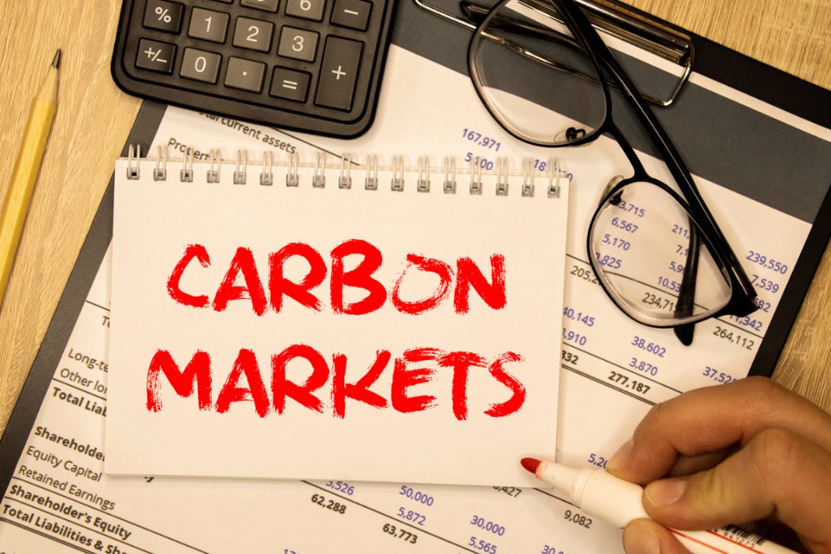 Carbon Offset Markets
