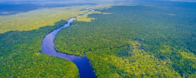 Amazon Rainforest Project