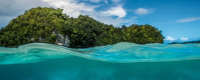 Ocean Conservation Project
